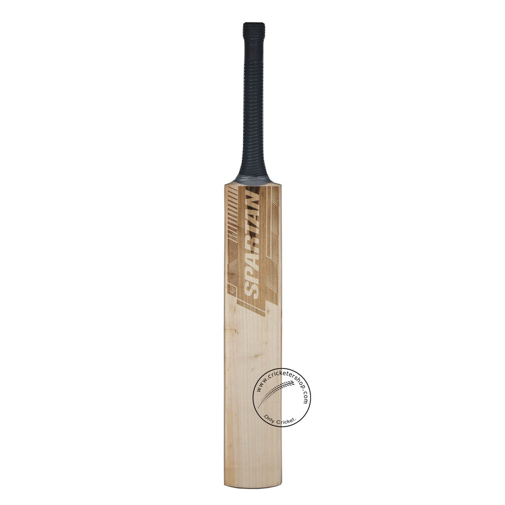 Spartan Super Star 2023 English Willow Cricket Bat Size SH @ Front View