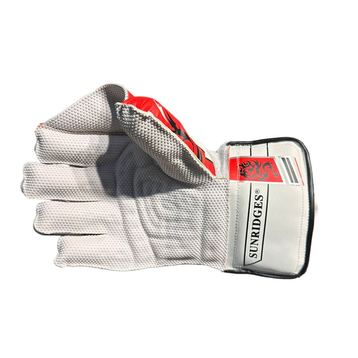 SS Dragon Cricket Wicket Keeping Gloves Mens Size