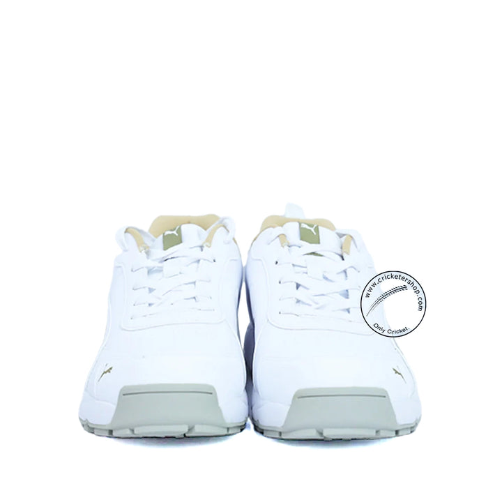 Puma Classicat 107807 01 Cricket Rubber Shoes White Gold size - Cricketershop